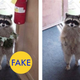 Illustration for article titled 76 Viral Images From 2015 That Were Totally Fake